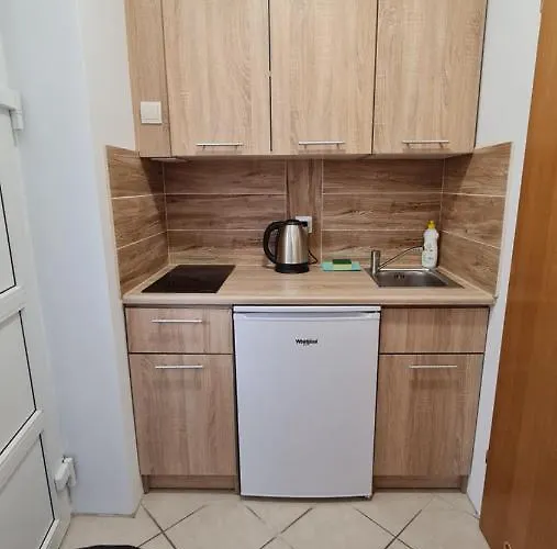 בית אירוח Tmt Goscinne Z Aneksami Kuchennymi *