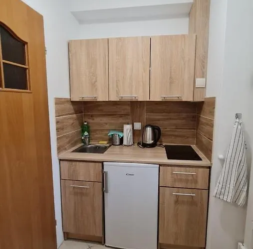 Tmt Goscinne Z Aneksami Kuchennymi * Kąty Rybackie